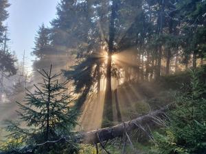 Príroda v okolí apartmánu
