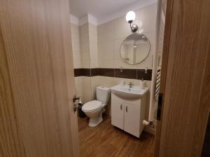 ブラショヴにあるAvram Iancu Private Apartmentのバスルーム(トイレ、洗面台、鏡付)