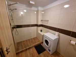 uma casa de banho com uma máquina de lavar roupa e um chuveiro em Avram Iancu Private Apartment em Brasov