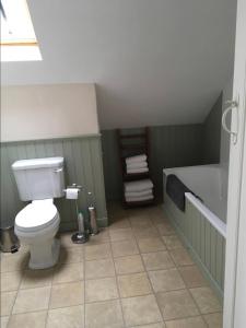 a bathroom with a toilet and a bath tub at Cosy Arts & Crafts Cottage with stunning views in Brecon