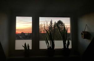 duas janelas com plantas num peitoril de janela com um pôr-do-sol em Ferienwohnung Amsel em Essen