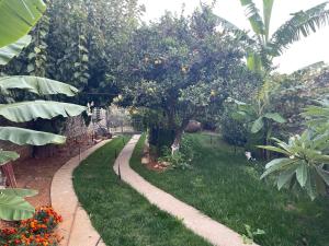 Gallery image of MintHouse Holiday Home in  Episkopi (Chania) +26 photos