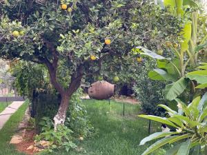 Gallery image of MintHouse Holiday Home in  Episkopi (Chania)