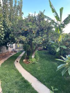 Gallery image of MintHouse Holiday Home in  Episkopi (Chania)