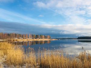 a view of a lake with trees in the background at Newly built apartment next door to the sheep in Norrfjärden