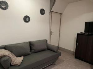 sala de estar con sofá y TV en Chablis : petit studio en plein centre ville, en Chablis