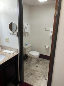 a bathroom with a white toilet and a sink at Hotel Seward in Seward