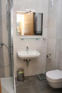 a bathroom with a sink and a toilet and a mirror at Olympic house in Jahorina +20 photos