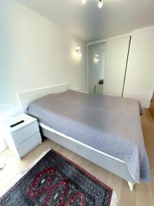 a bedroom with a large bed and a mirror at Olympic house in Jahorina