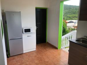 a kitchen with a refrigerator and a door with a microwave at TERRE DE BAS :L'île merveilleuse in Terre-de-Bas