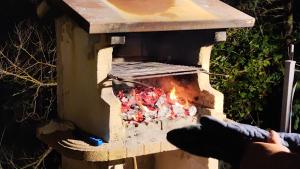 una persona sta cucinando cibo in un forno di mattoni di Il Mastro del Lago a Paganico
