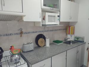 encimera de cocina con fregadero y microondas en Departamento Uriburu en Tandil