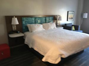 Postel nebo postele na pokoji v ubytování Hampton Inn Old Bridge NJ
