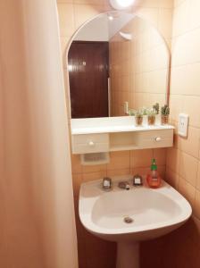 a bathroom with a sink and a mirror at Mendoza Apartment in Mendoza