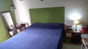 Un dormitorio con una cama azul y una pared verde en El Juncalito en San Rafael