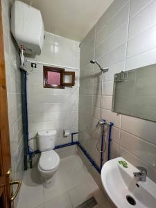 a bathroom with a toilet and a sink at Riad Perlamazigh in Zagora