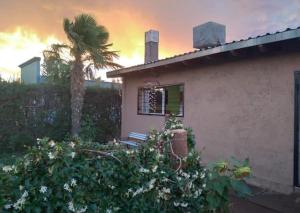 una casa con una palmera frente a un edificio en El Juncalito en San Rafael