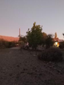 a field with trees and a house in the background at Madrenatura in Mina Clavero