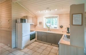 una cucina con un frigorifero bianco e un lavello di Gorgeous Home In Hemsedal With Sauna a Hemsedal