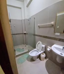 uma casa de banho com um chuveiro, um WC e um lavatório. em Hospedaje Paraíso em Tingo María