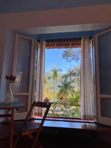 a window with a view of a palm tree at Chalé Gaia - Itatiaia in Itatiaia