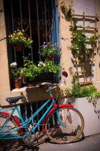 un vélo bleu garé à côté d'une fenêtre ornée de plantes dans l'établissement La Maison de Thaïs, à Arles