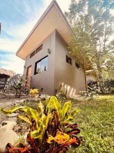 a house with a plant in front of it at CASA NOIL, Beautiful Eco House near the beach! in Puerto Viejo