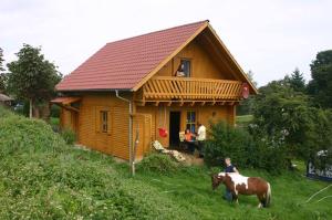 une maison avec un cheval debout devant elle dans l'établissement Kollerhof, à Neunburg vorm Wald