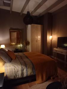 a bedroom with a bed and a television in it at Vakantiehuis De Oude Bakkerij in Katwijk aan Zee