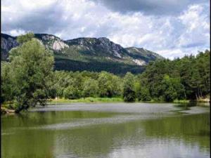 un gran lago con árboles y montañas en el fondo en Greolières: Superbe Studio avec vue montagne, en Gréolières