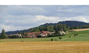a large field with houses in the background at Ferienwohnung Kuschel in Thanstein