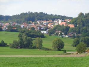 ein grünes Feld mit Häusern und Bäumen in der Ferne in der Unterkunft Ferienwohnung Kuschel in Thanstein