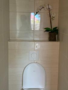 a white toilet in a bathroom with a plant at Casa Alta Gracia in Paramaribo