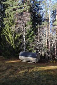a boat is sitting in the grass in the woods at Turistgården Särna in Särna