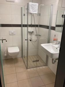 een badkamer met een douche, een toilet en een wastafel bij Gleiseins in Naila