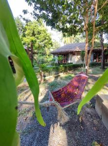 a hammock in the yard of a house at Blanco Hostel Lanta 18 to 35 in Ko Lanta