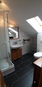 ein Bad im Dachgeschoss mit einem Waschbecken und einem WC in der Unterkunft Berghaus Julia in Sankt Englmar