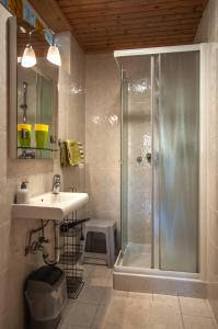 uma casa de banho com um chuveiro e um lavatório. em Guest House Alenka em Bohinj