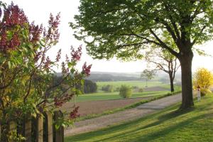 a fence and a tree in a field at Haus Hollerbusch in Neunburg vorm Wald