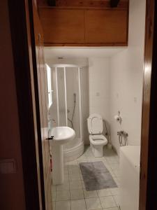 Koupelna v ubytování Holiday Apartments in Arachova