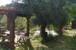 una zona de picnic con un árbol y una mesa de picnic en A 11 km de Riopar Casa Acogedora con sabor antaño 