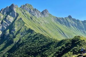 Przyroda w pobliżu tego domu w stylu alpejskim