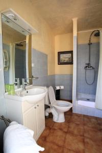a bathroom with a sink and a toilet and a shower at Acropole Asco in Asco