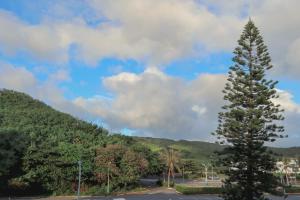 a pine tree in a parking lot next to a mountain at Party& Dream Homestay in Kenting