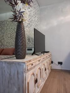 a television on top of a wooden table with a vase at Suite con Jacuzzi de la Haya, junto al Teatro Romano in Merida