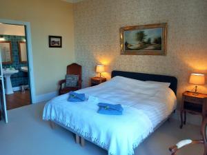 1 dormitorio con 1 cama con 2 toallas azules en Chateau Maleplane, en Saint-Léonard-de-Noblat