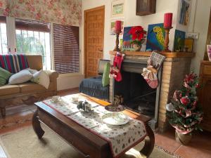Fotografie z fotogalerie ubytování Casa con jardin v destinaci Albacete