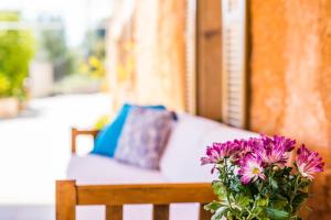 Zahrada ubytování Ideal Property Mallorca - Can Bielo