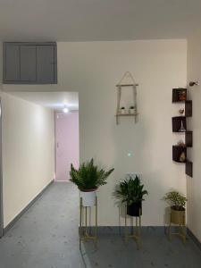 Fotografie z fotogalerie ubytování Maria's Homestay v destinaci Siliguri