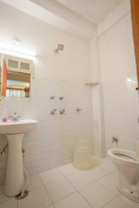 ein weißes Bad mit einem Waschbecken und einem WC in der Unterkunft Mars Monkey Hostel & Cafe in Manali